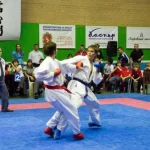 Занятия йогой, фитнесом в спортзале Школа Каратэ Дзесинмон Шоринрю Смоленская региональная Федерация Смоленск