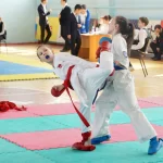 Занятия йогой, фитнесом в спортзале Школа каратэ Орион Томск