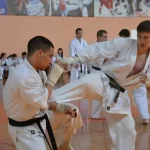 Занятия йогой, фитнесом в спортзале Школа каратэ Валеев Додзё Гай