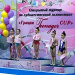 Занятия йогой, фитнесом в спортзале Школа начальной подготовки художественной гимнастики Грация Хабаровск