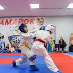 Занятия йогой, фитнесом в спортзале Школа олимпийского каратэ Амарок Воронеж