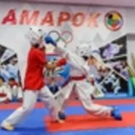 Занятия йогой, фитнесом в спортзале Школа олимпийского каратэ Амарок Воронеж