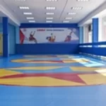 Занятия йогой, фитнесом в спортзале Школа самбо и дзюдо Люберцы Люберцы