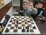 Спортивный клуб Школа шахмат Chess sly fox