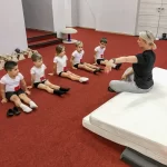 Занятия йогой, фитнесом в спортзале Школа спортивной гимнастики Андрея Гребенникова Видное