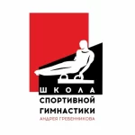 Занятия йогой, фитнесом в спортзале Школа спортивной гимнастики Андрея Гребенникова Видное