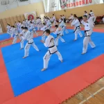 Занятия йогой, фитнесом в спортзале Школа Таэквон-ДО Кристалл Москва
