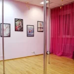Занятия йогой, фитнесом в спортзале Школа танцев Шестое чувство Самара