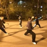 Занятия йогой, фитнесом в спортзале Школа Ушу стиля Мэйхуачжуан Москва