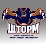 Занятия йогой, фитнесом в спортзале Шторм Красноярск