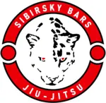 Спортивный клуб Сибирский Барс