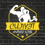 Занятия йогой, фитнесом в спортзале Силуэт Тюмень