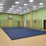 Занятия йогой, фитнесом в спортзале СК Путь самбо Красногорск