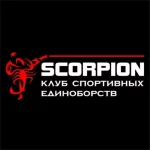 Занятия йогой, фитнесом в спортзале Скорпион Кострома