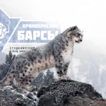 Занятия йогой, фитнесом в спортзале Снежный барс Красноярск