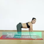Занятия йогой, фитнесом в спортзале Собака Мордой Вверх Санкт-Петербург