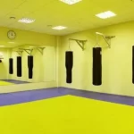 Занятия йогой, фитнесом в спортзале Созвездие Москва