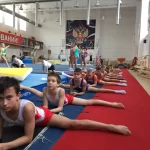Занятия йогой, фитнесом в спортзале Специализированная детско-юношеская спортивная школа олимпийского резерва по спортивной гимнастике Йошкар-Ола