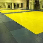 Занятия йогой, фитнесом в спортзале Спорт клуб Эквит Москва