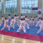 Занятия йогой, фитнесом в спортзале Спортивная секция по тхэквондо Итф Новосибирск