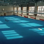 Занятия йогой, фитнесом в спортзале Спортивная школа олимпийского резерва Фламинго по легкой атлетике Новосибирск