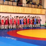Занятия йогой, фитнесом в спортзале Спортивная школа олимпийского резерва по вольной борьбе Красноярск