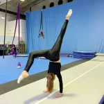 Занятия йогой, фитнесом в спортзале Спортивно-хореографическая школа воздушной акробатики Елены Марсо Москва