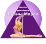 Спортивный клуб Спортивно-хореографическая школа воздушной акробатики Елены Марсо