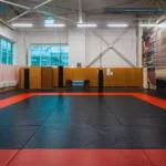 Занятия йогой, фитнесом в спортзале Спортивный клуб Anshinkai Москва