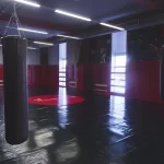 Занятия йогой, фитнесом в спортзале Спортивный клуб боевых искусств Сибирский Барс Москва