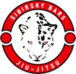 Спортивный клуб Спортивный клуб боевых искусств Сибирский Барс