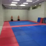 Занятия йогой, фитнесом в спортзале Спортивный клуб Фаворит Москва