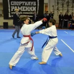 Занятия йогой, фитнесом в спортзале Спортивный клуб каратэ Северный, филиал № 3 СК каратэ Раменки Воронеж