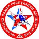 Спортивный клуб Спортивный клуб Самбопро