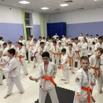 Занятия йогой, фитнесом в спортзале Спортивный клуб Цунами Видное