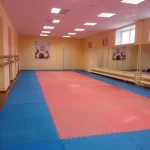 Занятия йогой, фитнесом в спортзале Спортивный зал агролицея № 1 Южно-Сахалинск