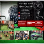 Спортивный клуб Спортивный зал Svoygym55 - Свой зал 55 Emelyanovteam55