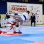 Занятия йогой, фитнесом в спортзале Спортклуб Московский Будокан Москва