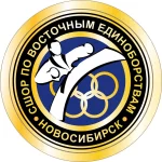 Занятия йогой, фитнесом в спортзале СШОР по Восточным Единоборствам Новосибирск