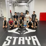 Занятия йогой, фитнесом в спортзале Стая Dance Studio Пенза