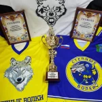 Занятия йогой, фитнесом в спортзале Степные Волки Магнитогорск