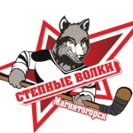 Занятия йогой, фитнесом в спортзале Степные Волки Магнитогорск