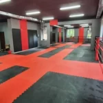 Занятия йогой, фитнесом в спортзале Стихия Успеха Балашиха