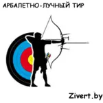 Спортивный клуб Стрельба из лука