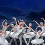 Занятия йогой, фитнесом в спортзале Swan Lake Москва