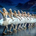 Занятия йогой, фитнесом в спортзале Swan Lake Москва