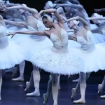 Занятия йогой, фитнесом в спортзале Swan Lake Москва