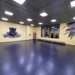Занятия йогой, фитнесом в спортзале Танцевальная школа V-pantera Раменское