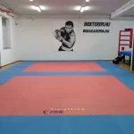 Занятия йогой, фитнесом в спортзале Татами Tatami — спортклуб, каратэ Москва