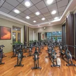 Занятия йогой, фитнесом в спортзале TerraSport Коперник Москва